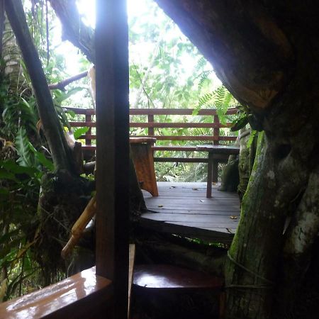 Topos Tree House Cahuita Luaran gambar