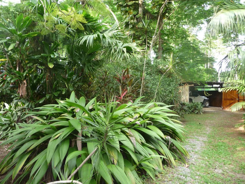 Topos Tree House Cahuita Luaran gambar