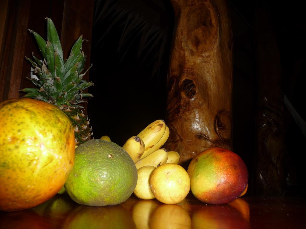Topos Tree House Cahuita Luaran gambar