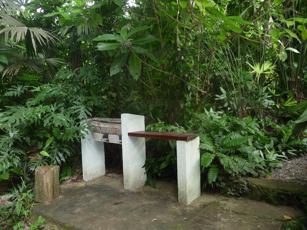 Topos Tree House Cahuita Luaran gambar