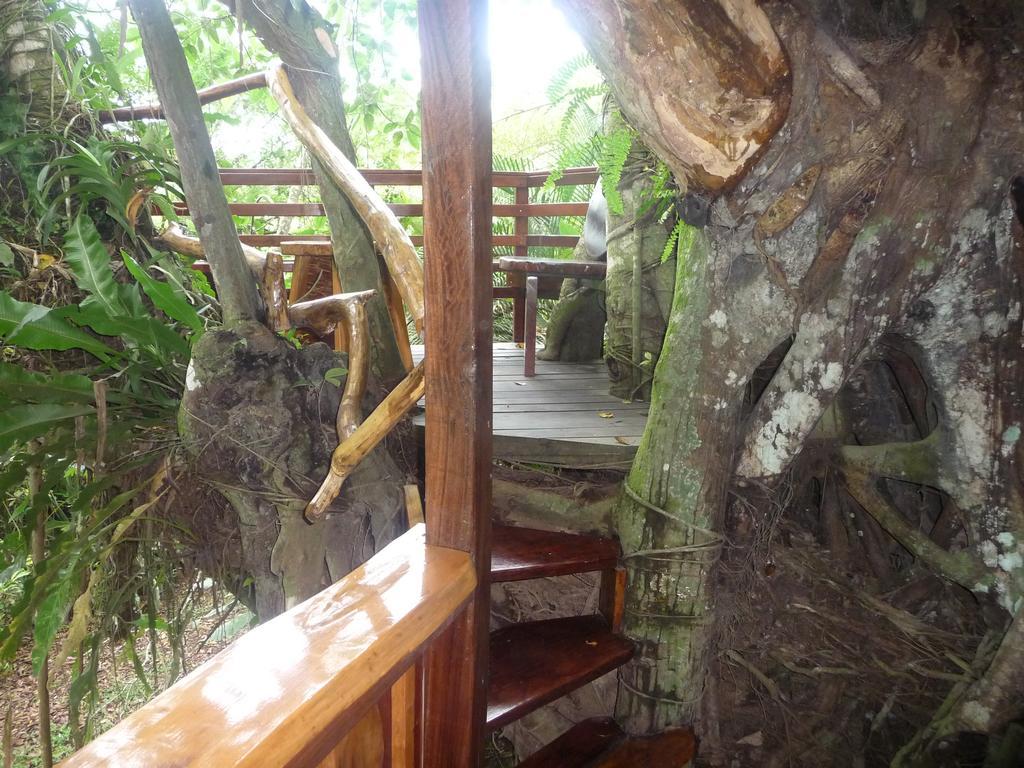 Topos Tree House Cahuita Luaran gambar