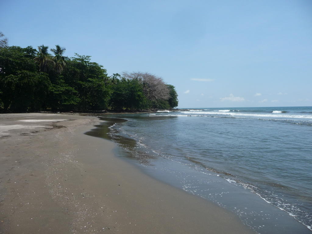 Topos Tree House Cahuita Luaran gambar