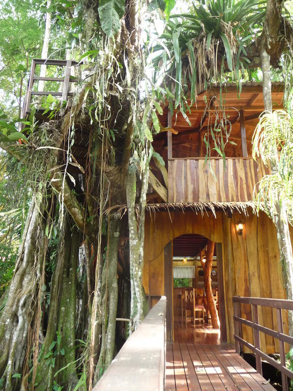Topos Tree House Cahuita Bilik gambar