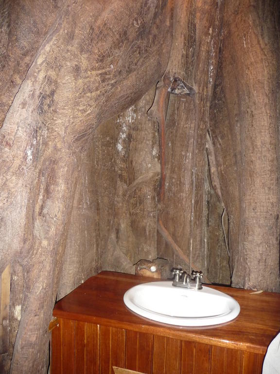 Topos Tree House Cahuita Luaran gambar