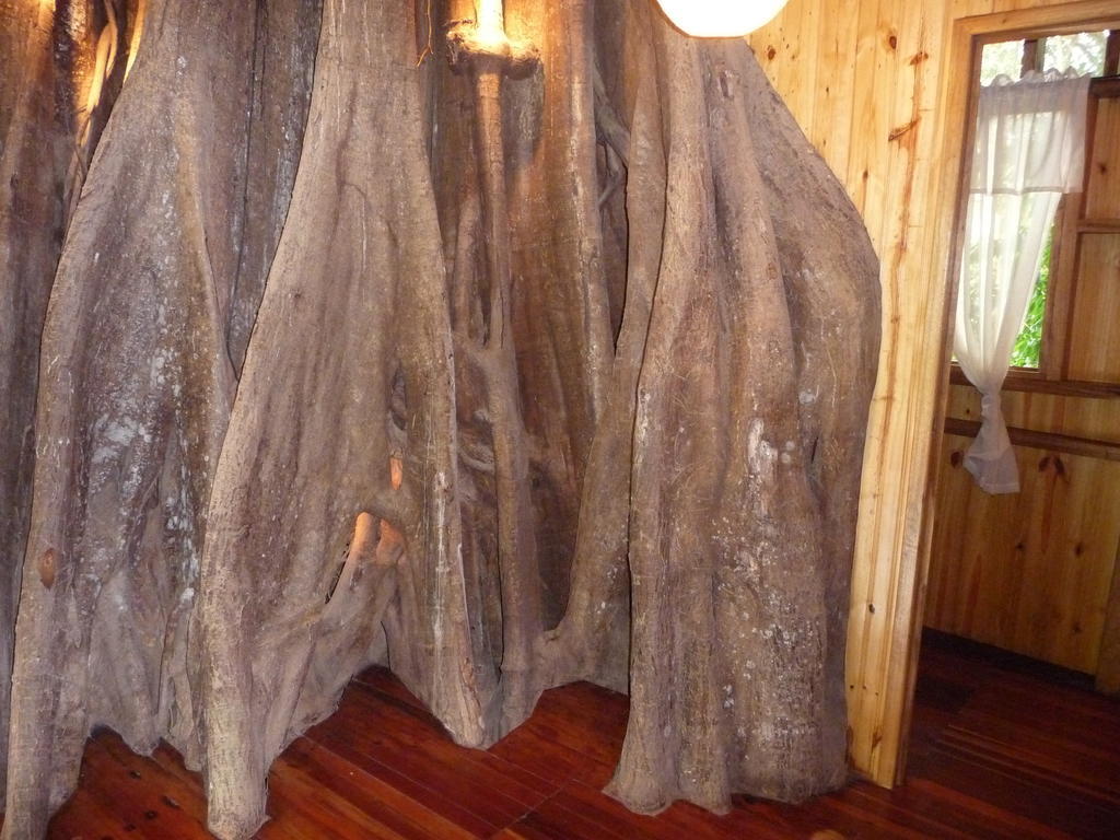 Topos Tree House Cahuita Luaran gambar
