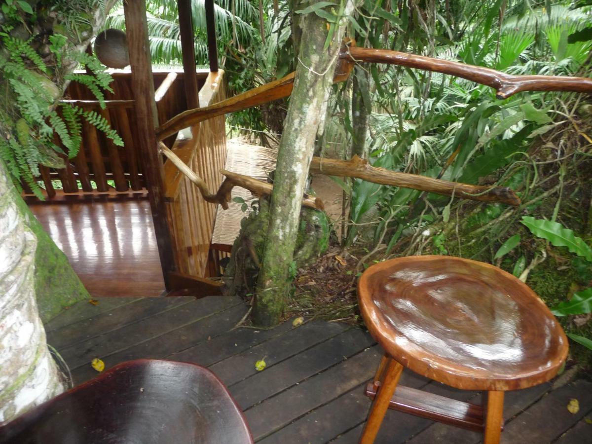 Topos Tree House Cahuita Luaran gambar